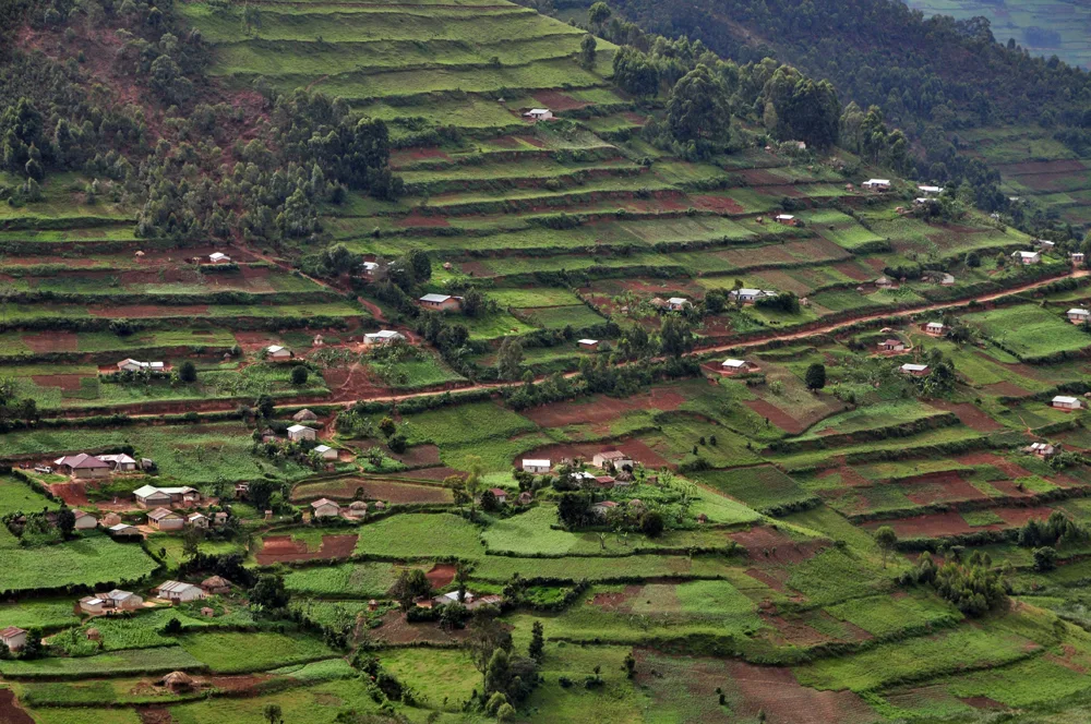Cultivated terraces and farmsteads on a hillside in southwestern Uganda.