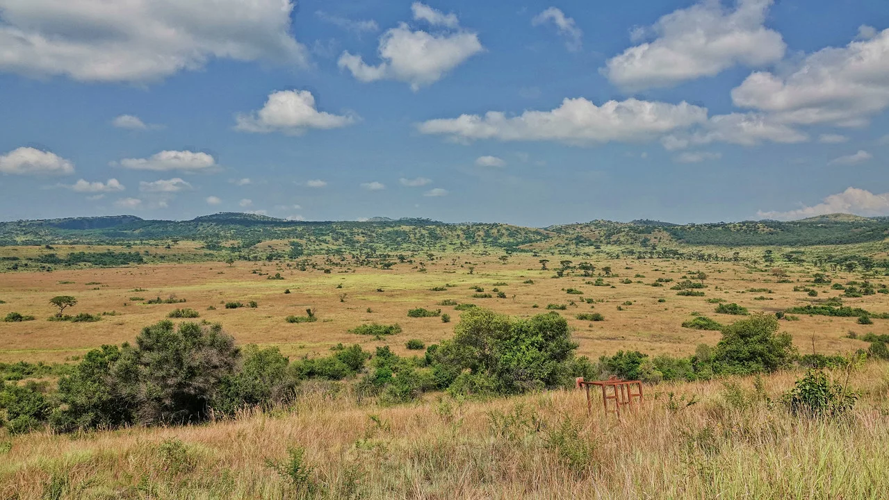 Open grassland and distant hills in Queen Elizabeth National Park, Uganda.